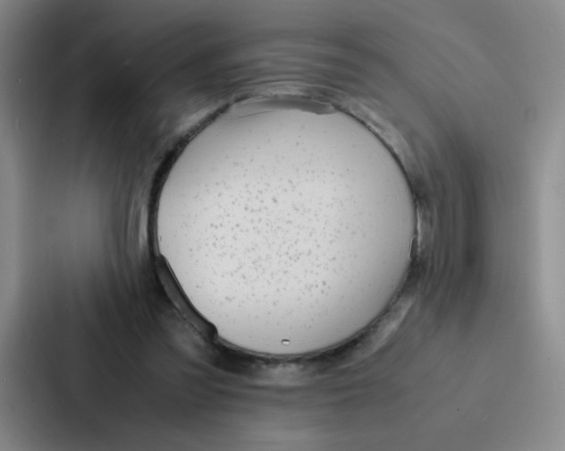 X0000086920301200705141728