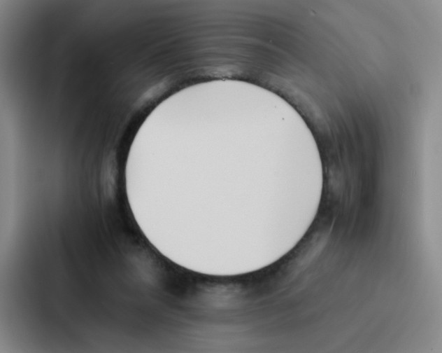 X0000086920304200705141728