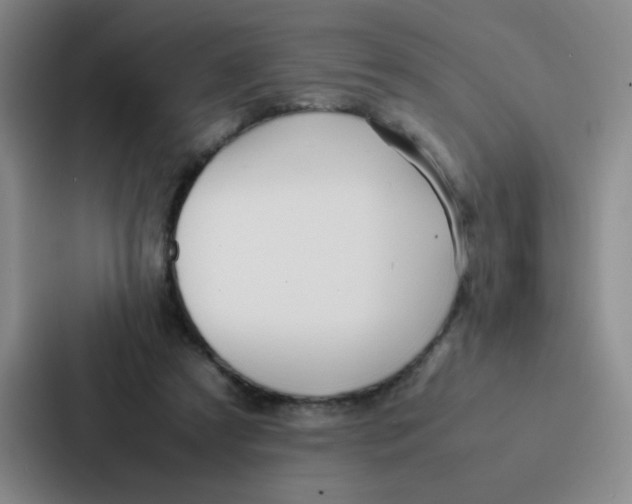 X0000086920305200705141728