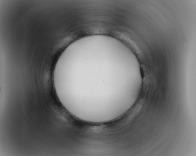 X0000086920306200705141728