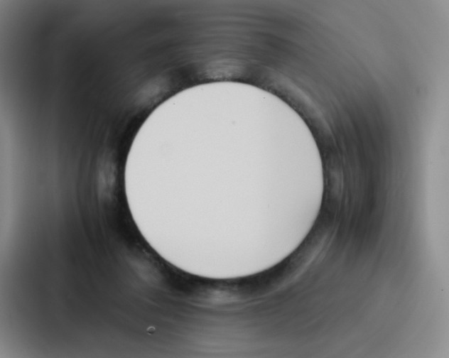 X0000086920308200705141728