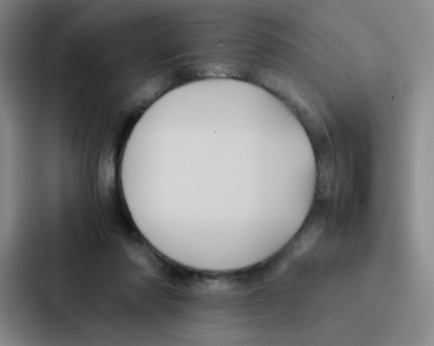 X0000086920310200705141727