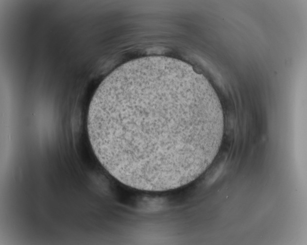 X0000086920311200705141727