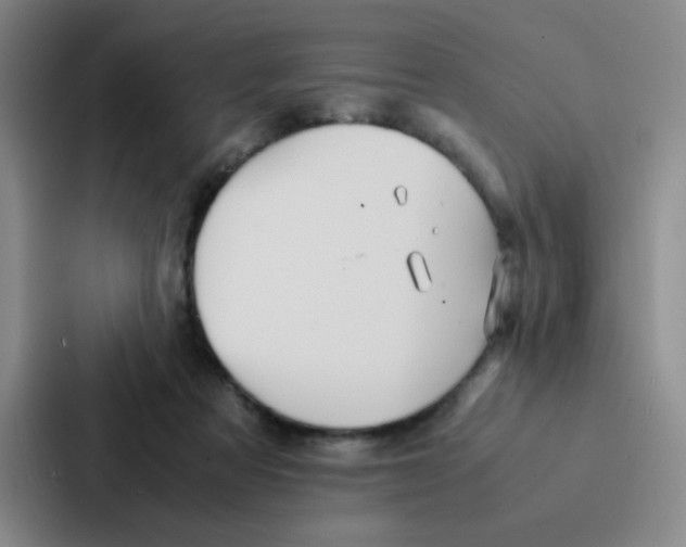 X0000086920313200705141727