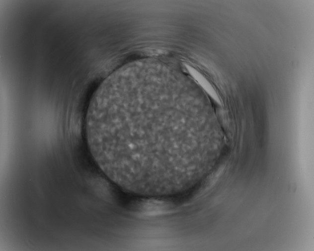 X0000086920315200705141727