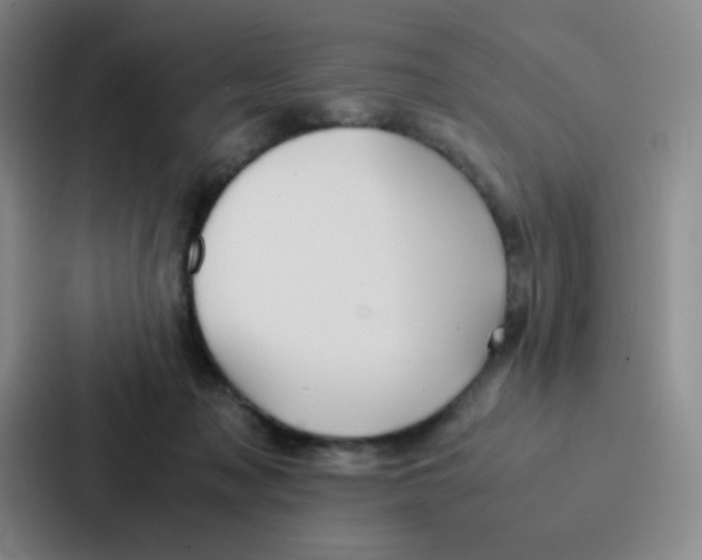 X0000086920317200705141727
