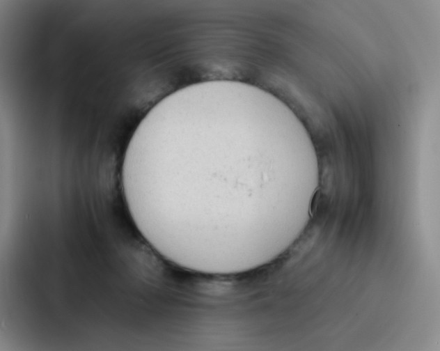 X0000086920318200705141727
