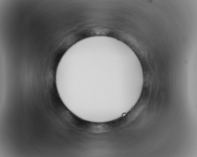 X0000086920321200705141727