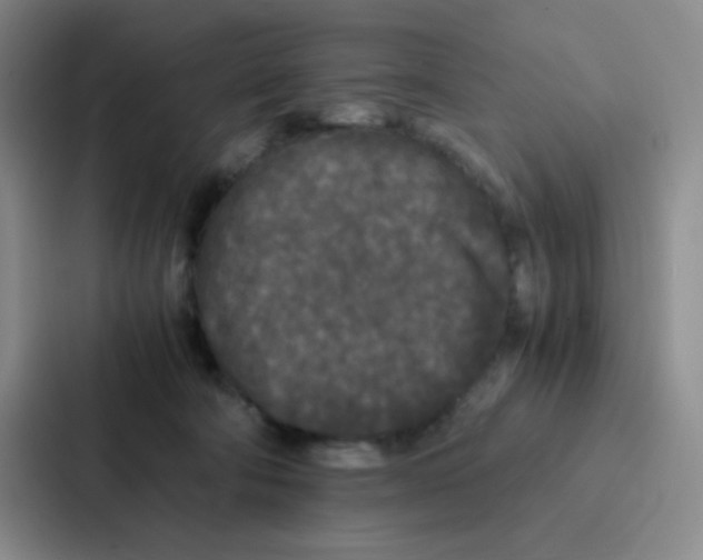 X0000086920322200705141727