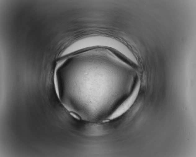 X0000086920325200705141727