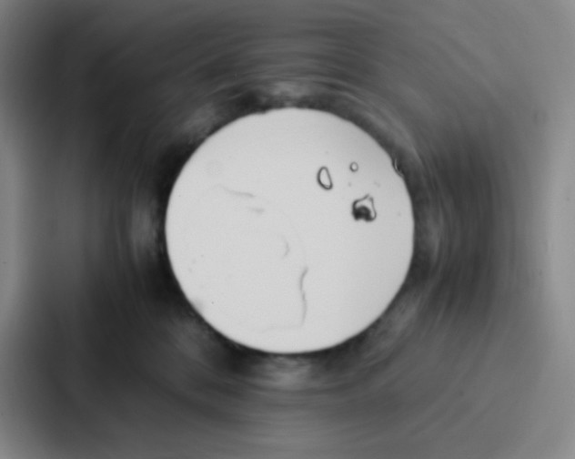 X0000086920328200705141727