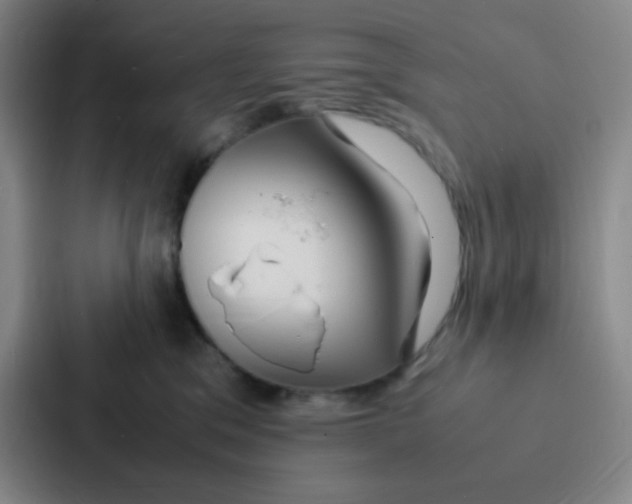 X0000086920329200705141727