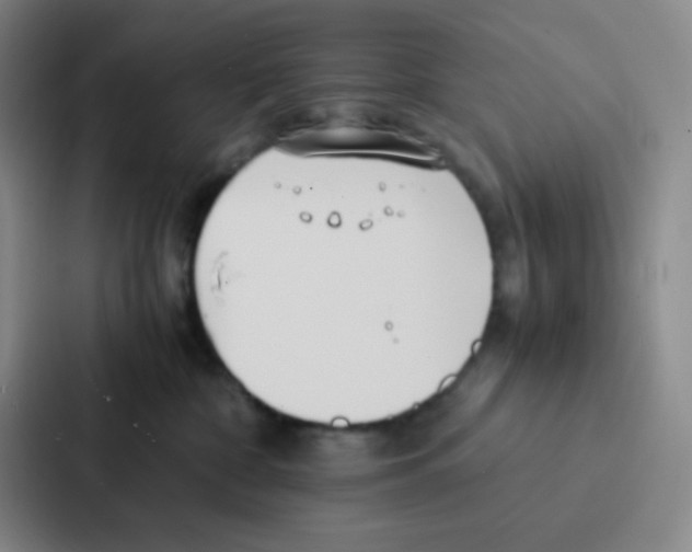 X0000086920332200705141727
