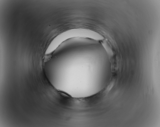 X0000086920333200705141727
