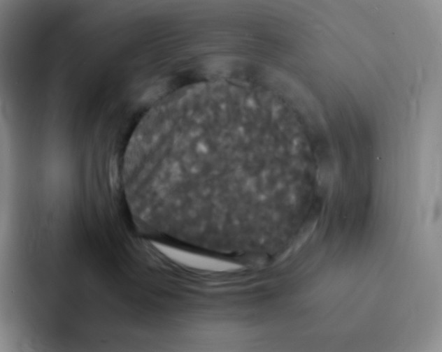 X0000086920335200705141727