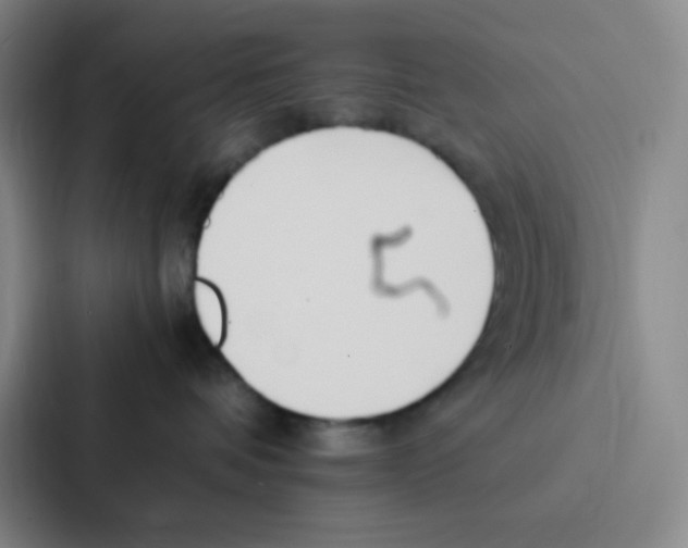 X0000086920336200705141727
