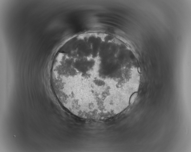 X0000086920337200705141727