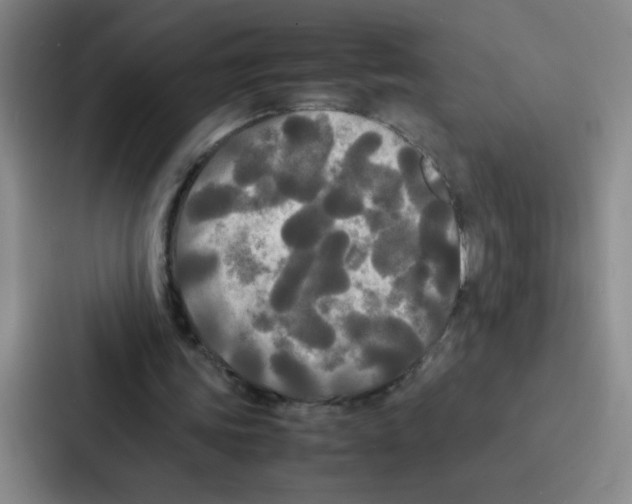 X0000086920339200705141727