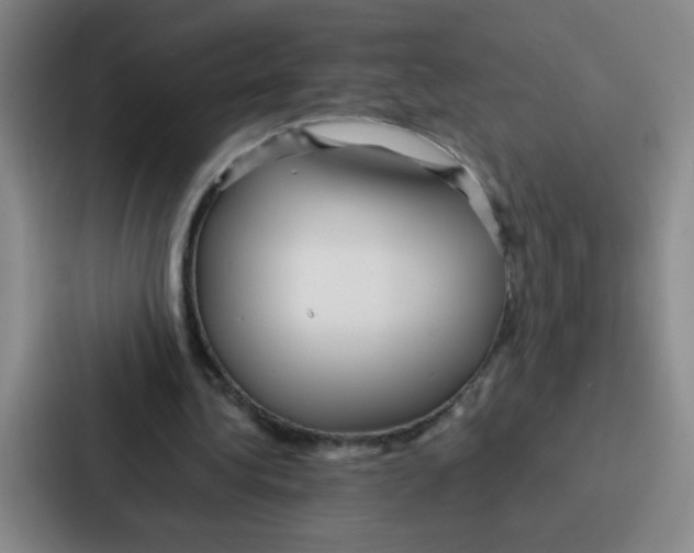 X0000086920340200705141727