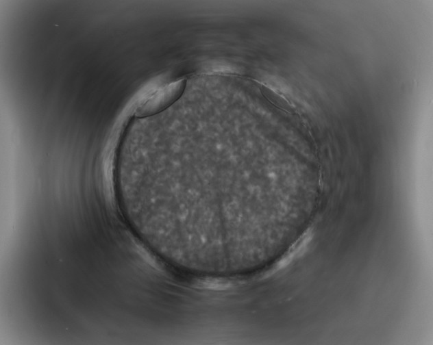 X0000086920341200705141727