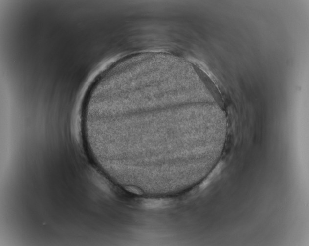 X0000086920342200705141727