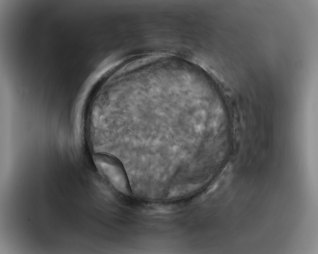 X0000086920343200705141727