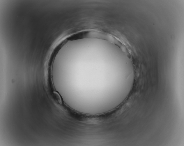 X0000086920344200705141727