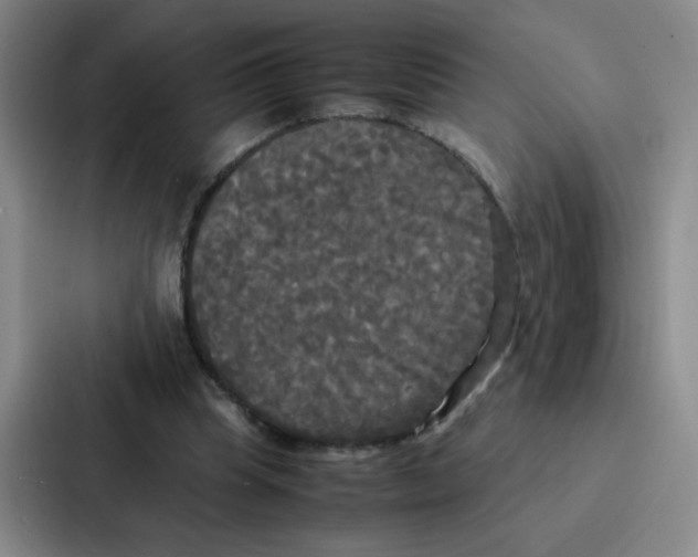 X0000086920345200705141727