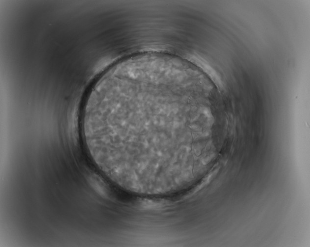 X0000086920346200705141727