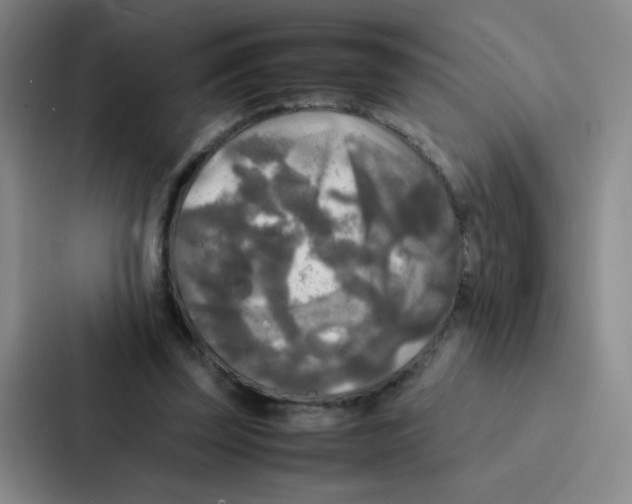 X0000086920347200705141727