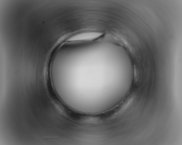 X0000086920348200705141727