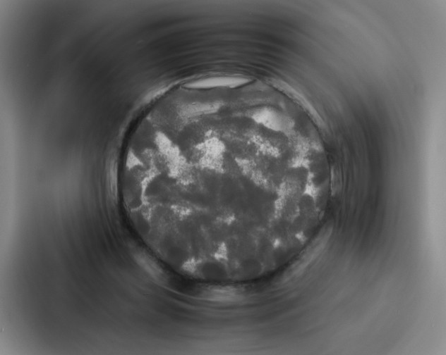 X0000086920349200705141727