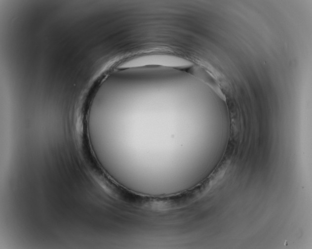 X0000086920350200705141727