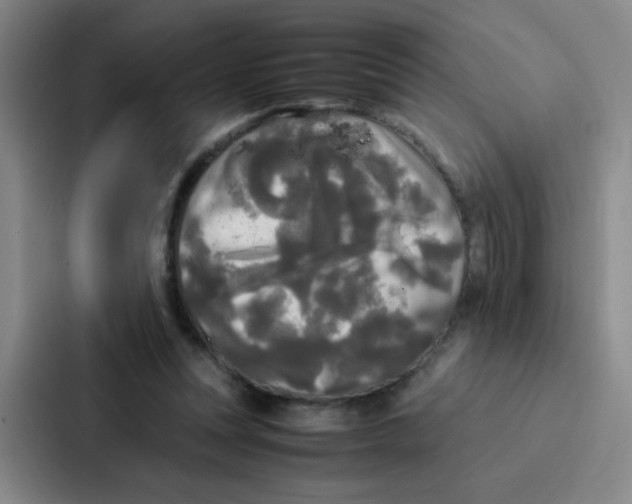 X0000086920351200705141727