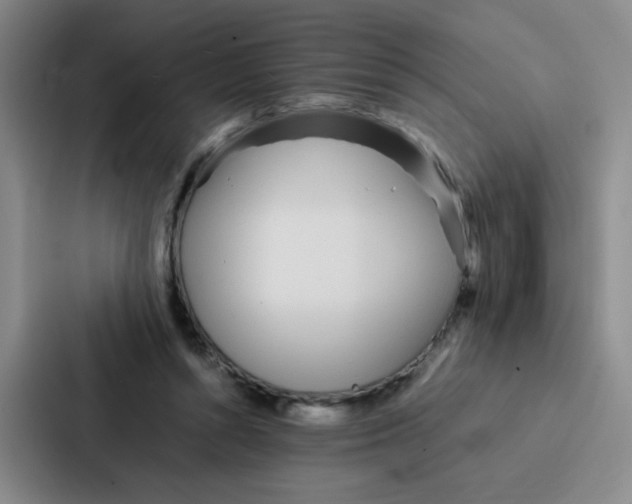 X0000086920352200705141727