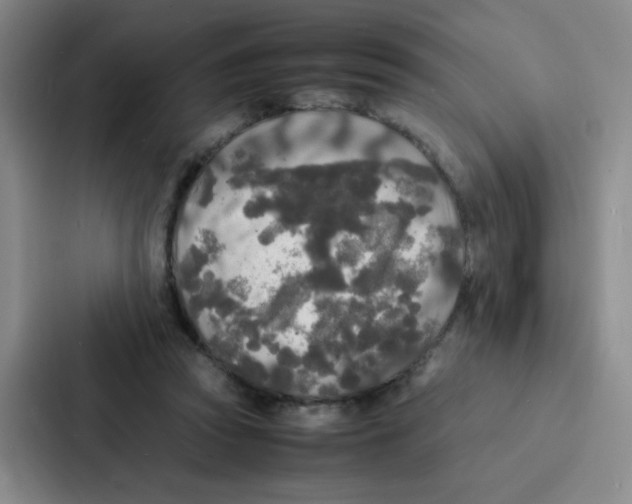 X0000086920353200705141727