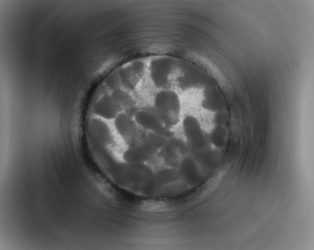 X0000086920354200705141727