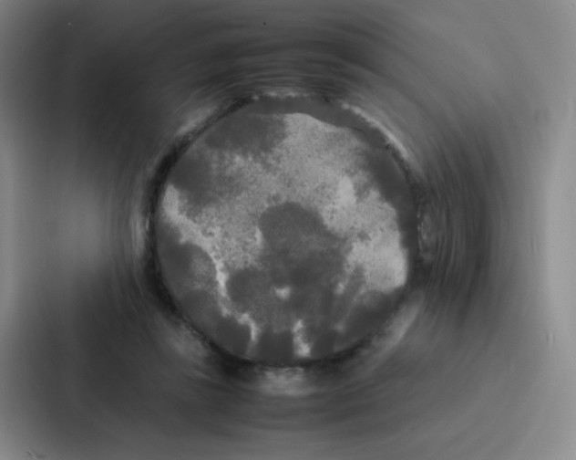 X0000086920355200705141727