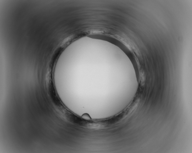 X0000086920356200705141727