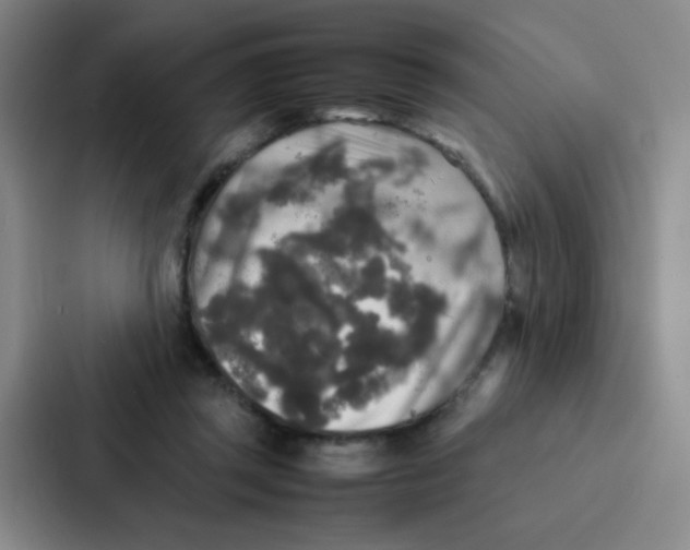 X0000086920357200705141727
