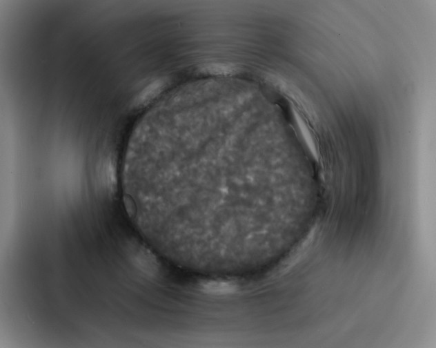 X0000086920358200705141727