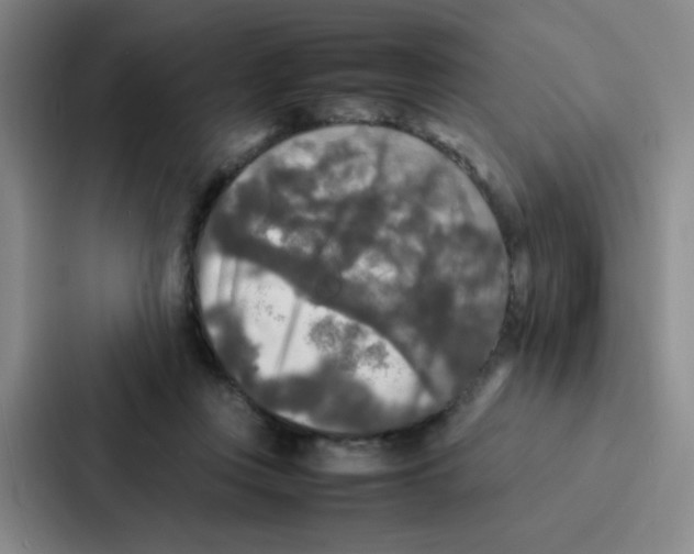X0000086920359200705141727