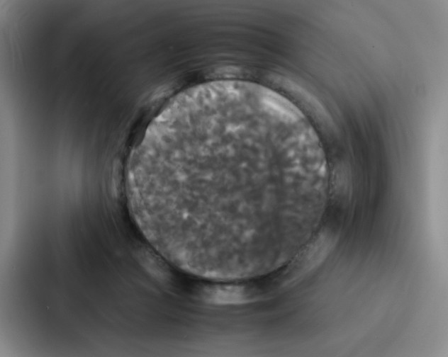 X0000086920361200705141727