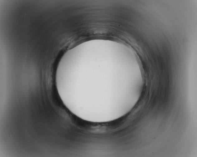 X0000086920362200705141727