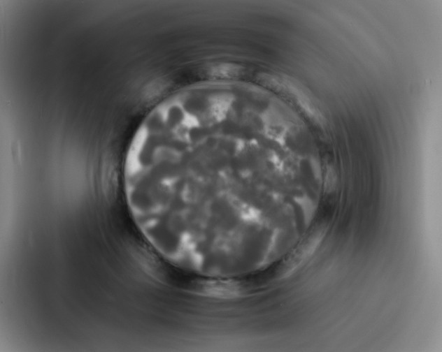 X0000086920363200705141727