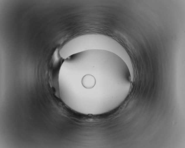 X0000086920364200705141727