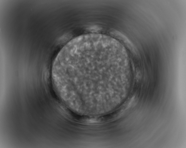 X0000086920365200705141727