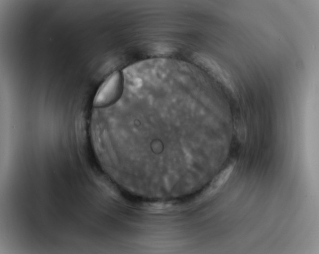 X0000086920366200705141727