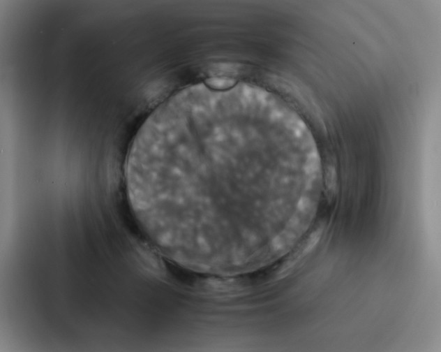 X0000086920367200705141727