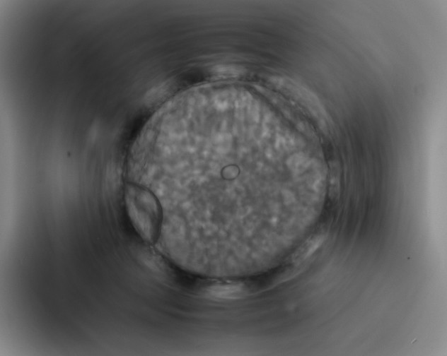 X0000086920369200705141727